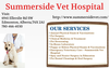 Pets Health Treatment South Edmonton Animal Hospital Image